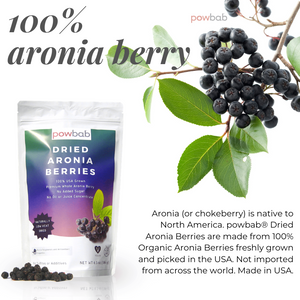 Dried Aronia Berries