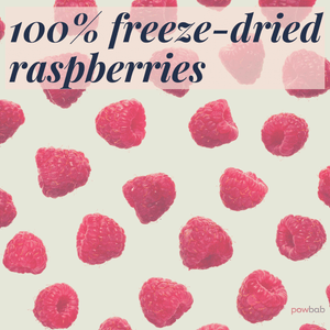 Raspberry Pieces + Bits