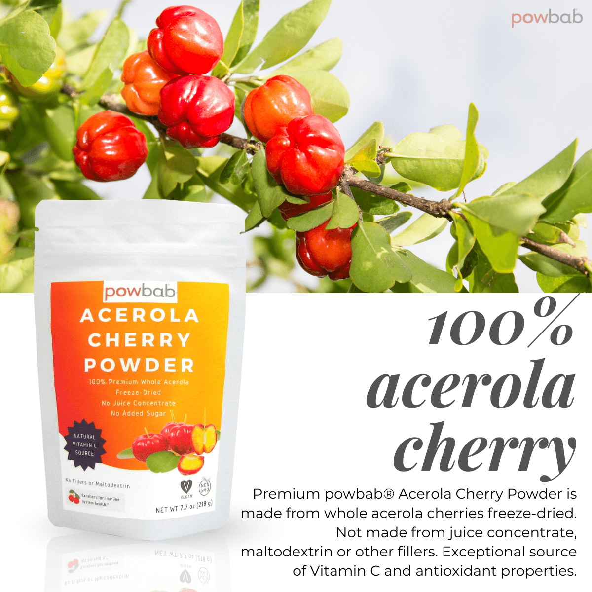 Acer Powder Acerola Cherry Powder - powbab