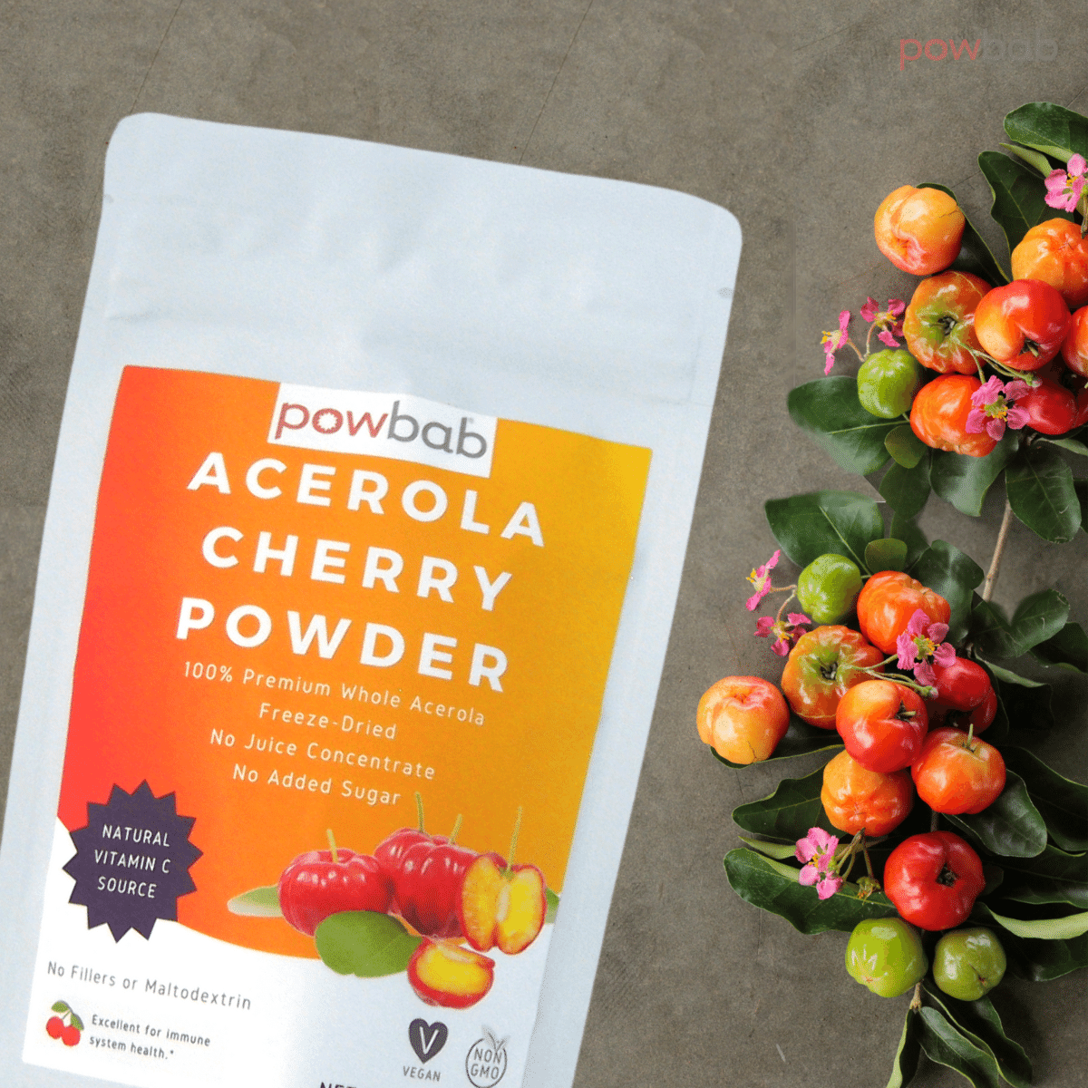 Acer Powder Acerola Cherry Powder - powbab
