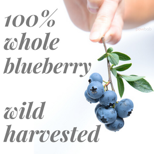 Dried Wild Blueberries