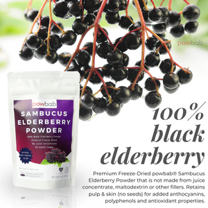 Sambucus Elderberry Powder