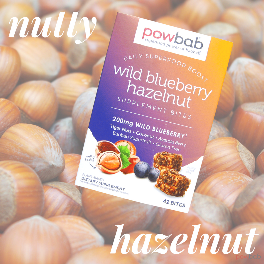 Wild Blueberry Hazelnut Bites