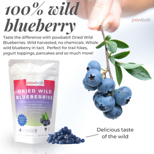 Dried Wild Blueberries