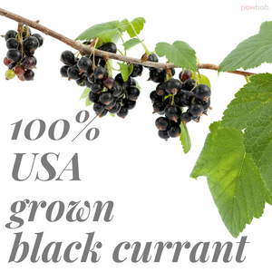 Black Currant Powder