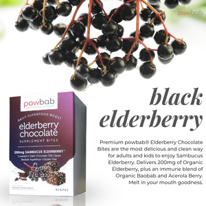 Elderberry Chocolate Bites