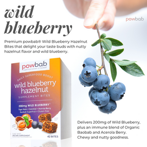 Wild Blueberry Hazelnut Bites