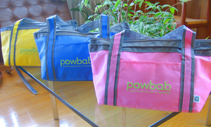 powbab® small cooler tote in 3 colors